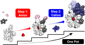 Orthogonal, modular anion-cation and cation-anion self-assembly using pre-programmed anion binding sites